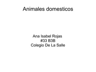 Animales domesticos Ana Isabel Rojas  #33 B3B Colegio De La Salle 