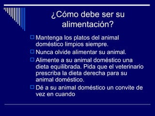 ¿Cómo debe ser su alimentación? Mantenga los platos del animal doméstico limpios siempre.  Nunca olvide alimentar su animal.  Alimente a su animal doméstico una dieta equilibrada. Pida que el veterinario prescriba la dieta derecha para su animal doméstico.  Dé a su animal doméstico un convite de vez en cuando  