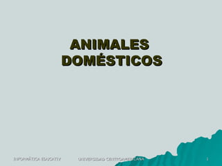 ANIMALES  DOMÉSTICOS 