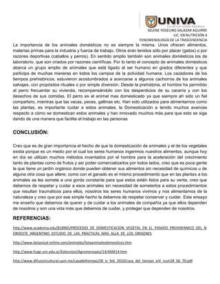 Animales domesticos | PDF