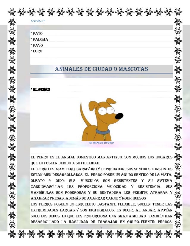 Animales domesticos