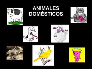 ANIMALESANIMALES
DOMÉSTICOSDOMÉSTICOS
MªÁngeles Morales Domínguez
 