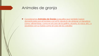 Animales de granja
 Consideramos Animales de Granja a aquellos que también fueron
domesticados por el hombre con el fin absoluto de obtener un beneficio
como: alimentarse, como en el caso de la gallina, el pato, la vaca, etc.; o
ayudarse con su fuerza como el caso de los caballos
 