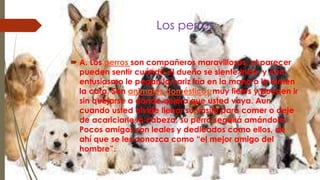 Los perros
 A. Los perros son compañeros maravillosos, al parecer
pueden sentir cuándo el dueño se siente triste, y con
entusiasmo le pegan la nariz fría en la mano o le lamen
la cara. Son animales domésticos muy fieles y pueden ir
sin quejarse a donde quiera que usted vaya. Aun
cuando usted olvide llenar su vasija para comer o deje
de acariciarle la cabeza, su perro seguirá amándolo.
Pocos amigos son leales y dedicados como ellos, de
ahí que se les conozca como “el mejor amigo del
hombre”.
 