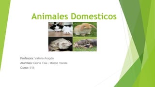 Animales Domesticos
Profesora: Valeria Aragón
Alumnas: Gloria Tsai – Milena Varela
Curso: 5°B
 