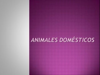 Animales domesticos Joselín y Lidia