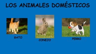 LOS ANIMALES DOMÉSTICOS
CONEJO
GATO PERRO
 