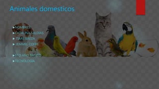 Animales domesticos
NOMBRES:
CATALINA SALDIAS
 TIARE BAEZA
 JEMMEL COFRE
5TO AÑO BASICO
TECNOLOGIA
 