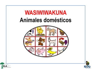 WASIWIWAKUNA
Animales domésticos
 