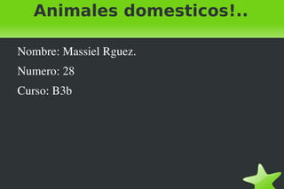 Animales domesticos!.. ,[object Object]