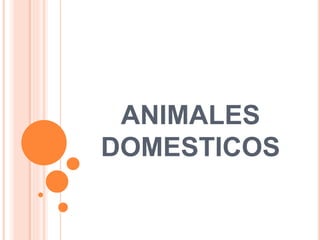 ANIMALES
DOMESTICOS