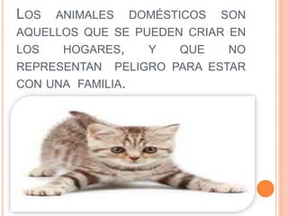 LOS ANIMALES DOMÉSTICOS SON
AQUELLOS QUE SE PUEDEN CRIAR EN
LOS HOGARES, Y QUE NO
REPRESENTAN PELIGRO PARA ESTAR
CON UNA FAMILIA.