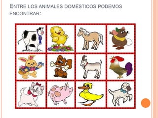 ENTRE LOS ANIMALES DOMÉSTICOS PODEMOS
ENCONTRAR: