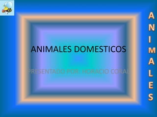 ANIMALES DOMESTICOS
PRESENTADO POR: HORACIO CORAL
 
