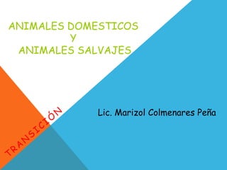 ANIMALES DOMESTICOS
Y
ANIMALES SALVAJES
Lic. Marizol Colmenares Peña
 