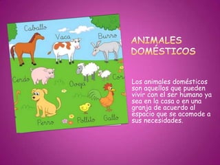 Los animales domésticos
son aquellos que pueden
vivir con el ser humano ya
sea en la casa o en una
granja de acuerdo al
espacio que se acomode a
sus necesidades.
 