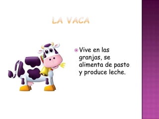  Viveen las
 granjas, se
 alimenta de pasto
 y produce leche.
 