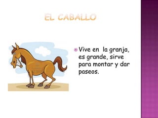  Viveen la granja,
 es grande, sirve
 para montar y dar
 paseos.
 