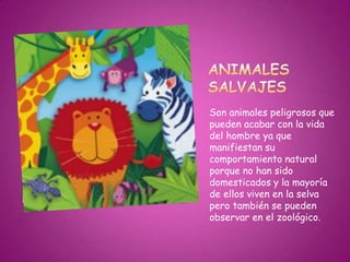 Son animales peligrosos que
pueden acabar con la vida
del hombre ya que
manifiestan su
comportamiento natural
porque no han sido
domesticados y la mayoría
de ellos viven en la selva
pero también se pueden
observar en el zoológico.
 
