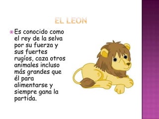  Es conocido como
 el rey de la selva
 por su fuerza y
 sus fuertes
 rugíos, caza otros
 animales incluso
 más grandes que
 él para
 alimentarse y
 siempre gana la
 partida.
 