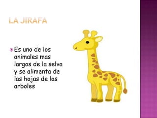  Esuno de los
 animales mas
 largos de la selva
 y se alimenta de
 las hojas de los
 arboles
 