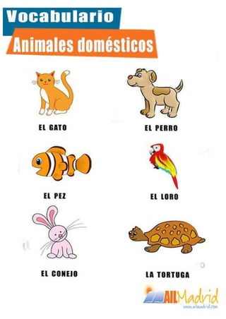Spanish Resources: animales domésticos