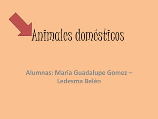 Animales domésticos
Alumnas: Maria Guadalupe Gomez –
Ledesma Belén
 