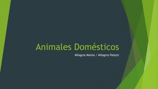 Animales Domésticos
Milagros Matías / Milagros Palazzi
 