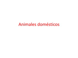 Animales domésticos
 