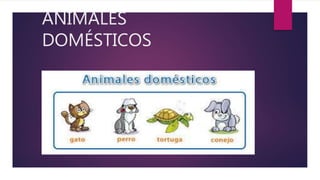 ANIMALES
DOMÉSTICOS
 
