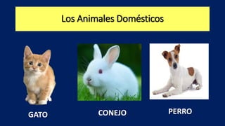 Los Animales Domésticos
GATO CONEJO PERRO
 