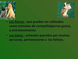 Los Perros  : que pueden ser utilizados como animales de compañía(perros guías), o entretenimiento. Los Gatos  : animales queridos por muchas personas, perteneciente a  los felinos. 