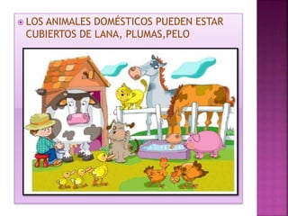  LOS ANIMALES DOMÉSTICOS PUEDEN ESTAR 
CUBIERTOS DE LANA, PLUMAS,PELO 
 