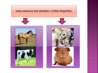 UNOS ANIMALES SON GRANDES Y OTROS PEQUEÑOS. 
 