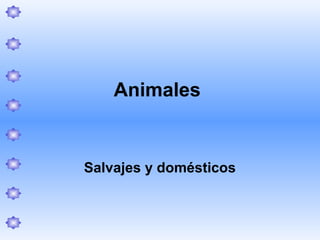 Animales

Salvajes y domésticos

 