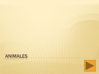 ANIMALES
