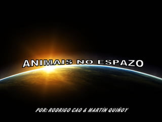 Animales en el espacio Por: Rodrigo Cao y Martin Quiñoy ANIMAIS NO ESPAZO POR: RODRIGO CAO & MARTÍN QUIÑOY 