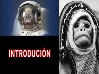 INTRODUCIÓN 
