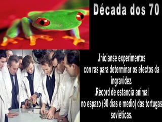 Década dos 70 .Inicianse experimentos con ras para determinar os efectos da  ingravidez. .Récord de estancia animal no espazo (90 días e medio) das tortugas soviéticas. 