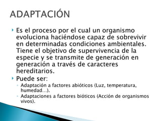    Es el proceso por el cual un organismo
    evoluciona haciéndose capaz de sobrevivir
    en determinadas condiciones ambientales.
    Tiene el objetivo de supervivencia de la
    especie y se transmite de generación en
    generación a través de caracteres
    hereditarios.
   Puede ser:
    ◦ Adaptación a factores abióticos (Luz, temperatura,
      humedad…).
    ◦ Adaptaciones a factores bióticos (Acción de organismos
      vivos).
 