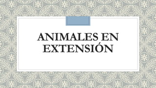 ANIMALES EN
EXTENSIÓN
 