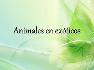 Animales en exóticos
 