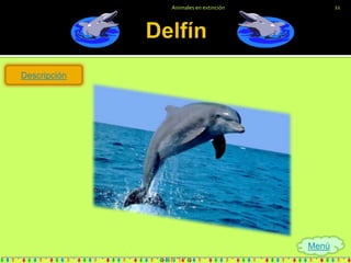 Animales en extinción          11




Descripción




                                      Menú
 