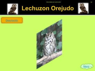 Animales en extinción          19




Descripción




                                      Menú
 