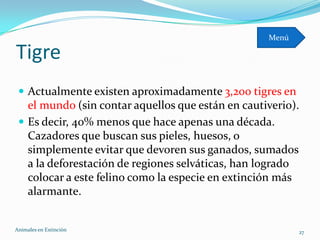 Menú

Tigre
  Actualmente existen aproximadamente 3,200 tigres en
   el mundo (sin contar aquellos que están en cautiverio).
  Es decir, 40% menos que hace apenas una década.
   Cazadores que buscan sus pieles, huesos, o
   simplemente evitar que devoren sus ganados, sumados
   a la deforestación de regiones selváticas, han logrado
   colocar a este felino como la especie en extinción más
   alarmante.


Animales en Extinciòn                                     27
 