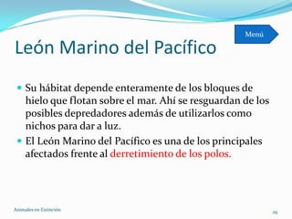 Menú

León Marino del Pacífico
  Su hábitat depende enteramente de los bloques de
   hielo que flotan sobre el mar. Ahí se resguardan de los
   posibles depredadores además de utilizarlos como
   nichos para dar a luz.
  El León Marino del Pacífico es una de los principales
   afectados frente al derretimiento de los polos.




Animales en Extinciòn                                        29
 
