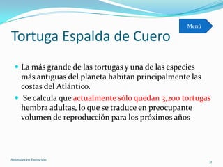 Menú

Tortuga Espalda de Cuero
   La más grande de las tortugas y una de las especies
    más antiguas del planeta habitan principalmente las
    costas del Atlántico.
   Se calcula que actualmente sólo quedan 3,200 tortugas
    hembra adultas, lo que se traduce en preocupante
    volumen de reproducción para los próximos años




Animales en Extinciòn                                      31
 