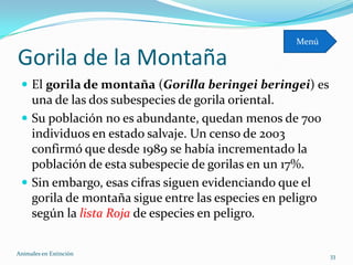 Menú

Gorila de la Montaña
  El gorila de montaña (Gorilla beringei beringei) es
   una de las dos subespecies de gorila oriental.
  Su población no es abundante, quedan menos de 700
   individuos en estado salvaje. Un censo de 2003
   confirmó que desde 1989 se había incrementado la
   población de esta subespecie de gorilas en un 17%.
  Sin embargo, esas cifras siguen evidenciando que el
   gorila de montaña sigue entre las especies en peligro
   según la lista Roja de especies en peligro.

Animales en Extinciòn                                      33
 