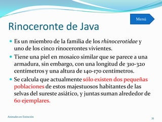 Menú

Rinoceronte de Java
  Es un miembro de la familia de los rhinocerotidae y
   uno de los cinco rinocerontes vivientes.
  Tiene una piel en mosaico similar que se parece a una
   armadura, sin embargo, con una longitud de 310-320
   centímetros y una altura de 140-170 centímetros.
  Se calcula que actualmente sólo existen dos pequeñas
   poblaciones de estos majestuosos habitantes de las
   selvas del sureste asiático, y juntas suman alrededor de
   60 ejemplares.

Animales en Extinciòn                                         35
 