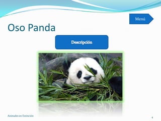 Menú

Oso Panda




Animales en Extinciòn          4
 